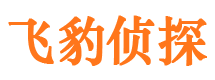 广元外遇出轨调查取证